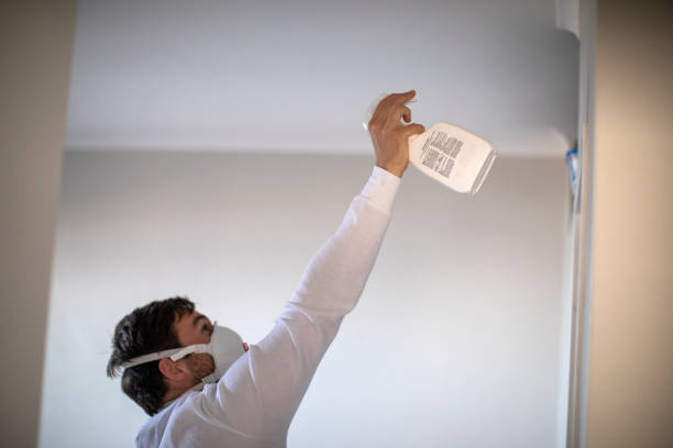 Attic Mold Removal in Collinsville, TX