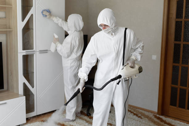 Mold Removal and Inspection in Collinsville, TX