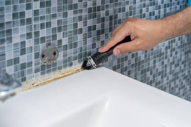 Best Office Mold Removal Services  in Collinsville, TX